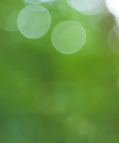 Image of a green summer blur background — Stock Photo, Image