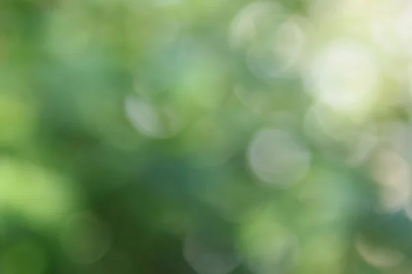 Abstract blurred beautiful natural background with bokeh effect — Stock Photo, Image