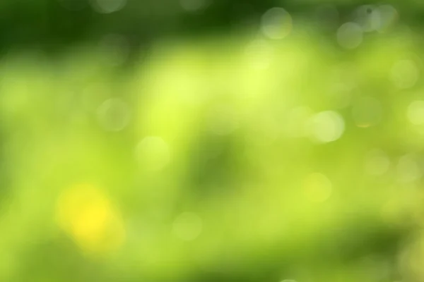 Abstract green blurred natural background with bokeh background — Stock Photo, Image