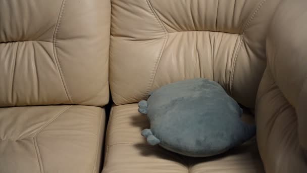 Cansado agotado hombre milenario cayendo en el sofá en casa después de un duro día de trabajo, concepto de agotamiento — Vídeo de stock