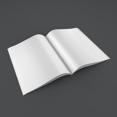 Açık kitap