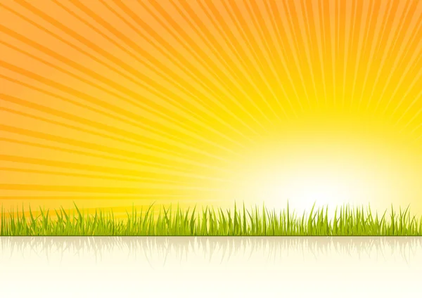 Zonsondergang vector illustratie achtergrond met gras Stockillustratie