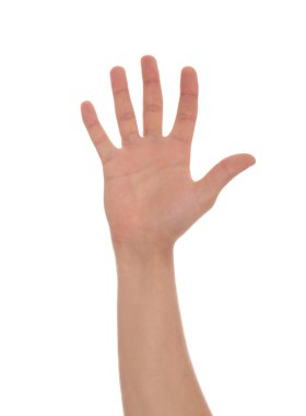 erkek eli beş el hareketi