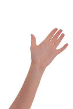 kadın açılan palm el