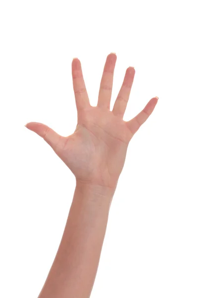 Female hand gesturing five — Stock Photo, Image