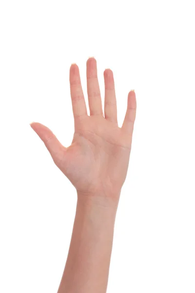 Female opened palm hand — Stock Photo, Image