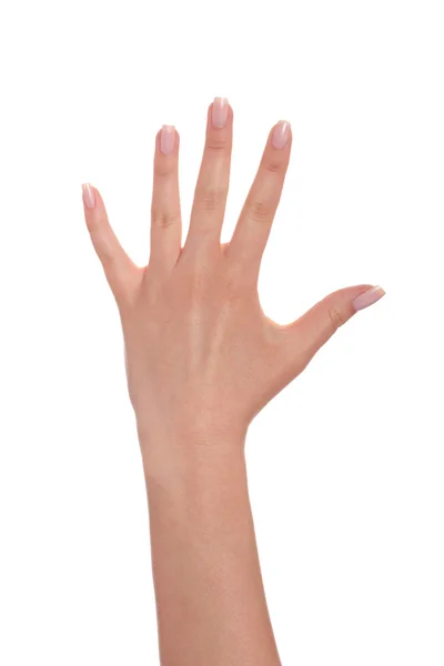 Female hand gesturing five — Stock Photo, Image