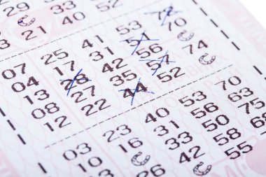 Loto bileti bilet numaraları ile