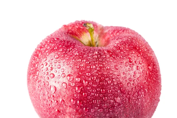 Wet red apple isolated on white — Stock Photo, Image