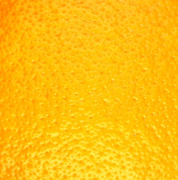 Ripe Orange — Stock Photo, Image