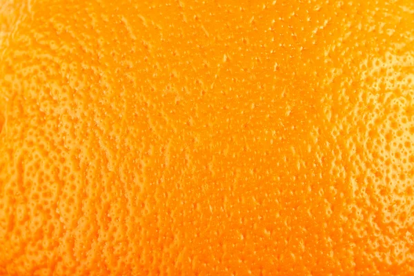 Ripe Orange — Stock Photo, Image