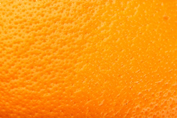 Ripe Orange — Stock Photo, Image