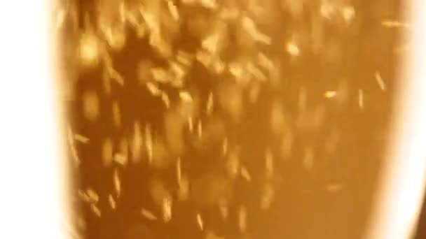 Bolhas dentro de uma taça de champanhe — Vídeo de Stock