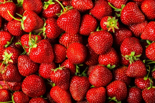 Strawberry Background — Stock Photo, Image