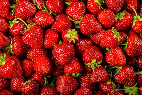 Strawberry Background — Stock Photo, Image