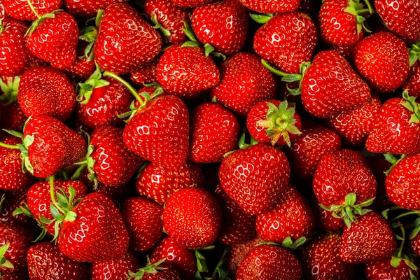 Strawberry Background — Stock Photo, Image