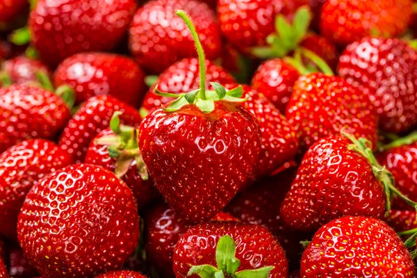 Strawberry Background — Stock Photo, Image