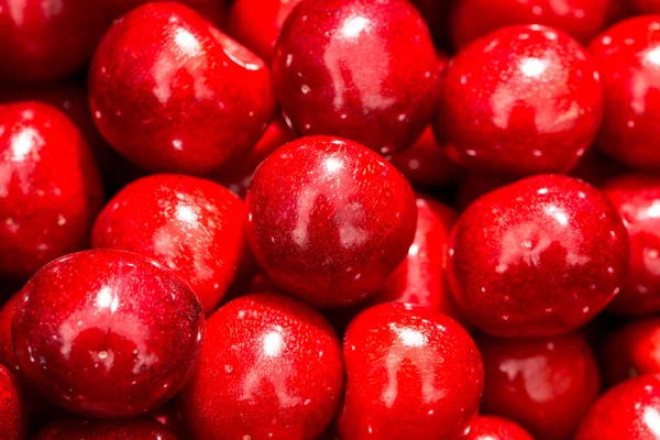 Cherry background — Stock Photo, Image