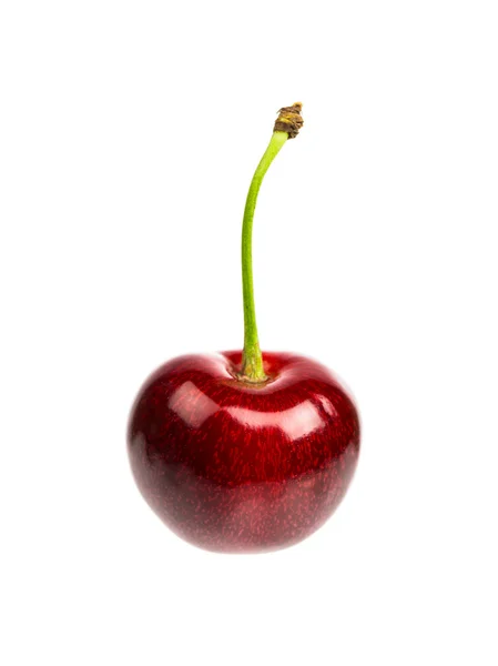 One sweet cherry — Stock Photo, Image