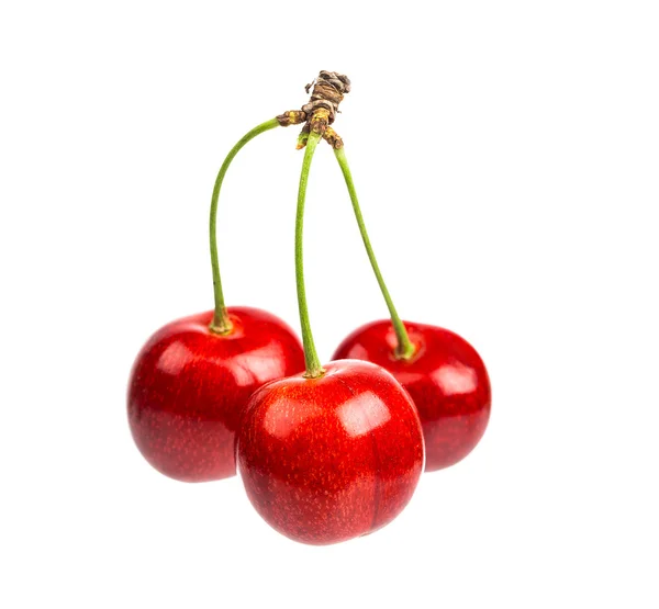 Three sweet cherries — Stock Photo, Image