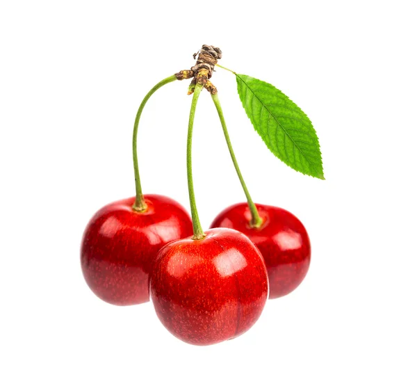 Three sweet cherries — Stock Photo, Image