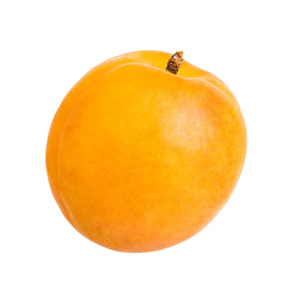 Aprikosenfrucht — Stockfoto