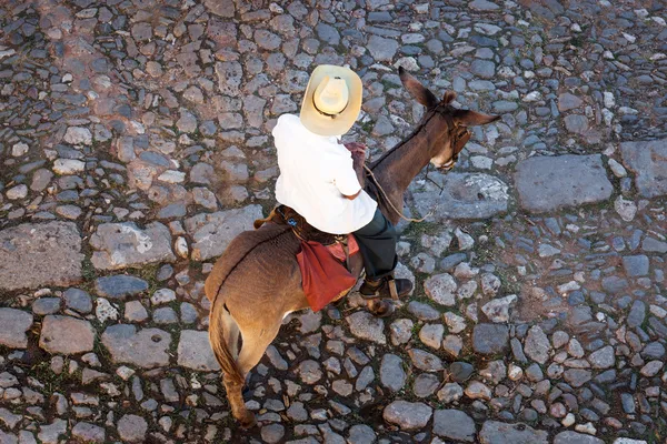 Man on donkey — Stock Photo, Image