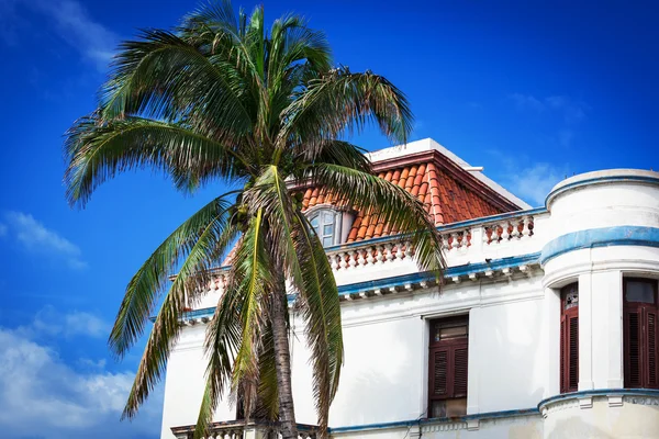 Старый дом и пальма — стоковое фото