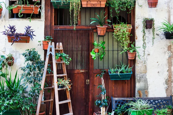 Flower shop — Stock Photo, Image