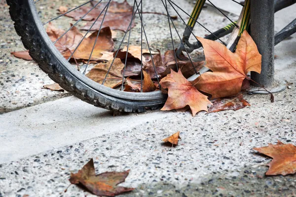 Sykkelhjul – stockfoto