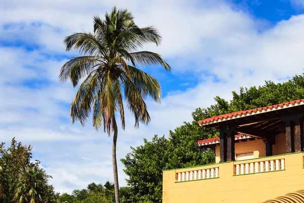 Palmiye ve güzel ev — Stok fotoğraf