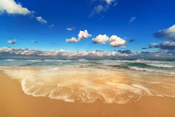 美しいビーチ — ストック写真