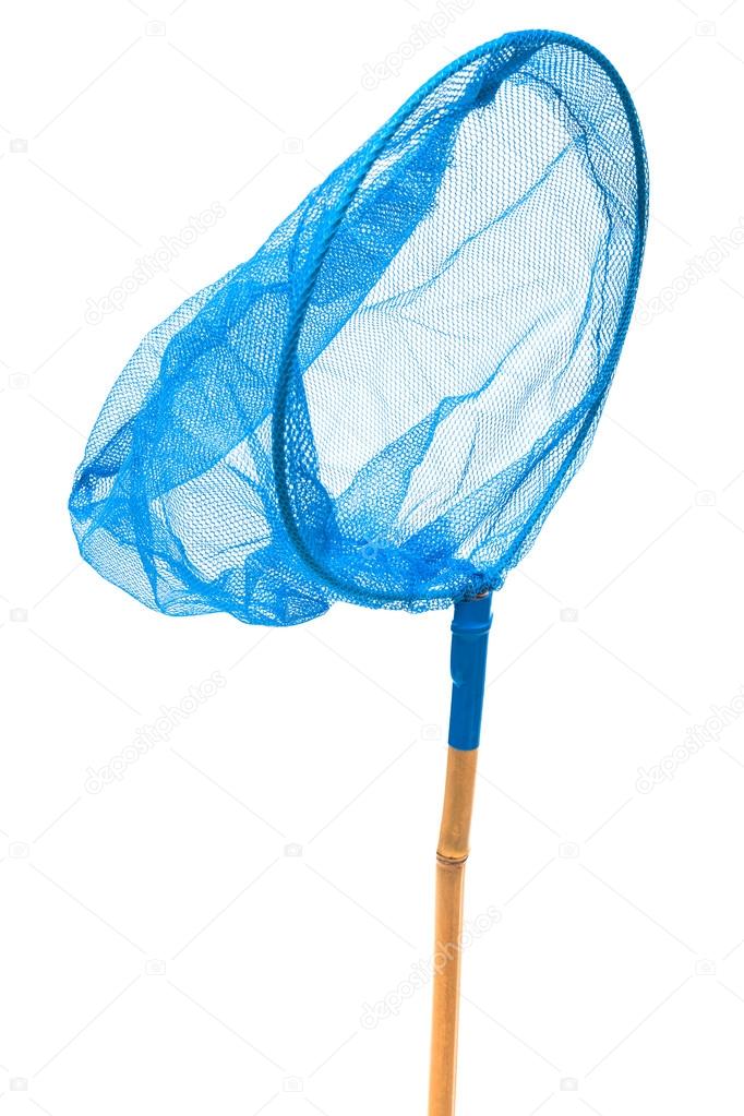 insect net