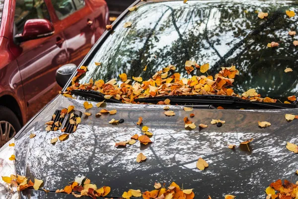 Urbane Herbstlandschaft Auto Mit Herbstlaub Übersät — Stockfoto