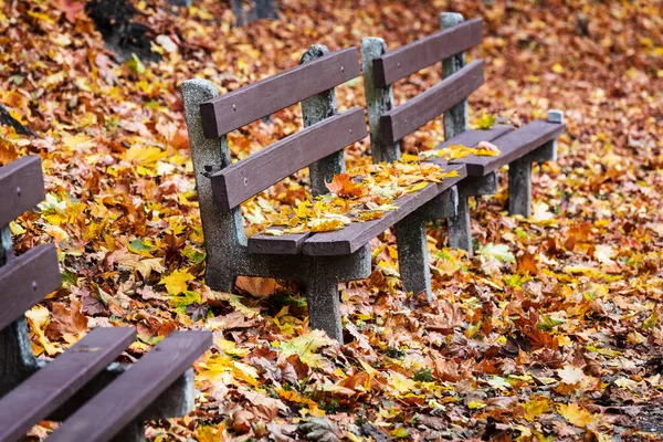 秋天公园里的木制长椅 — 图库照片