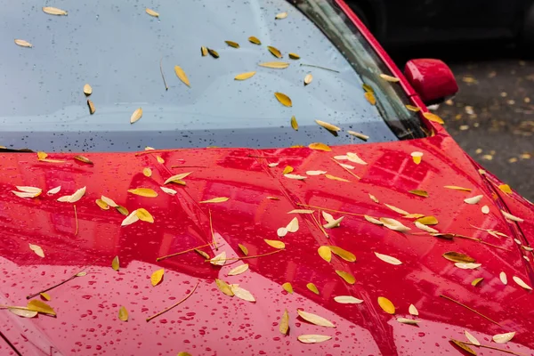 Kentsel Sonbahar Manzarası Sonbahar Yapraklarıyla Kaplı Bir Araba — Stok fotoğraf