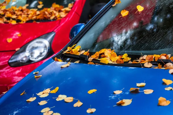 Stedelijk Herfstlandschap Auto Bedekt Met Herfstbladeren — Stockfoto