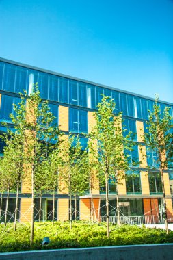 Cityscape ofis binaları