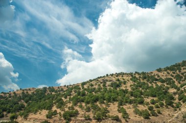 Mountain view - milli park olympus