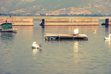 Göl ORESTIADA peyzaj