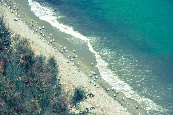 Wybrzeże Morza z białym piaskiem — Zdjęcie stockowe