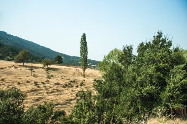 Mountain view - milli park olympus