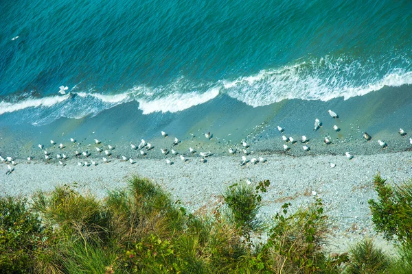 Costa do mar com areia branca — Fotografia de Stock