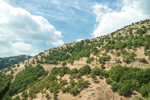 Uitzicht op de bergen - nationaal park olympus — Stockfoto