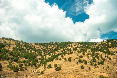 Mountain view - milli park olympus