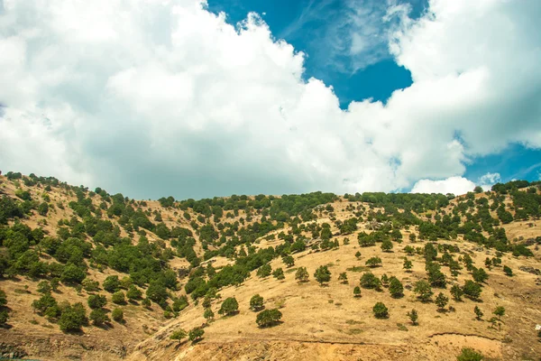 Mountain view - milli park olympus — Stok fotoğraf