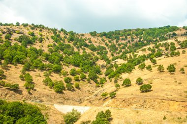 Mountain view - milli park olympus