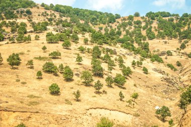 Mountain view - milli park olympus