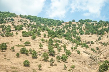 Mountain view - milli park olympus