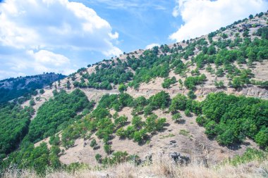 Mountain view - milli park olympus